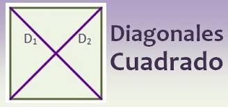 Diagonales del cuadrdo