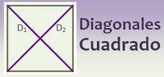 Diagonales del cuadrdo