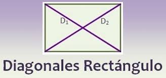Diagonales del rectángulo