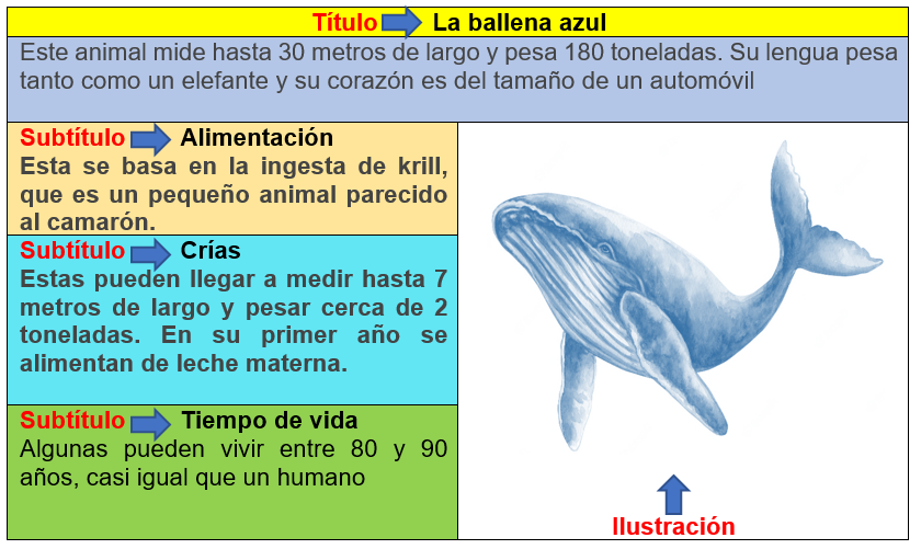 Textos literarios e informativos, martes 11 octubre, lenguaje y  comunicación 2° primaria