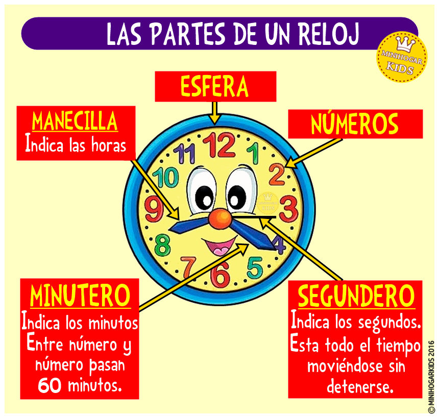 LAS PARTES DE UN RELOJ