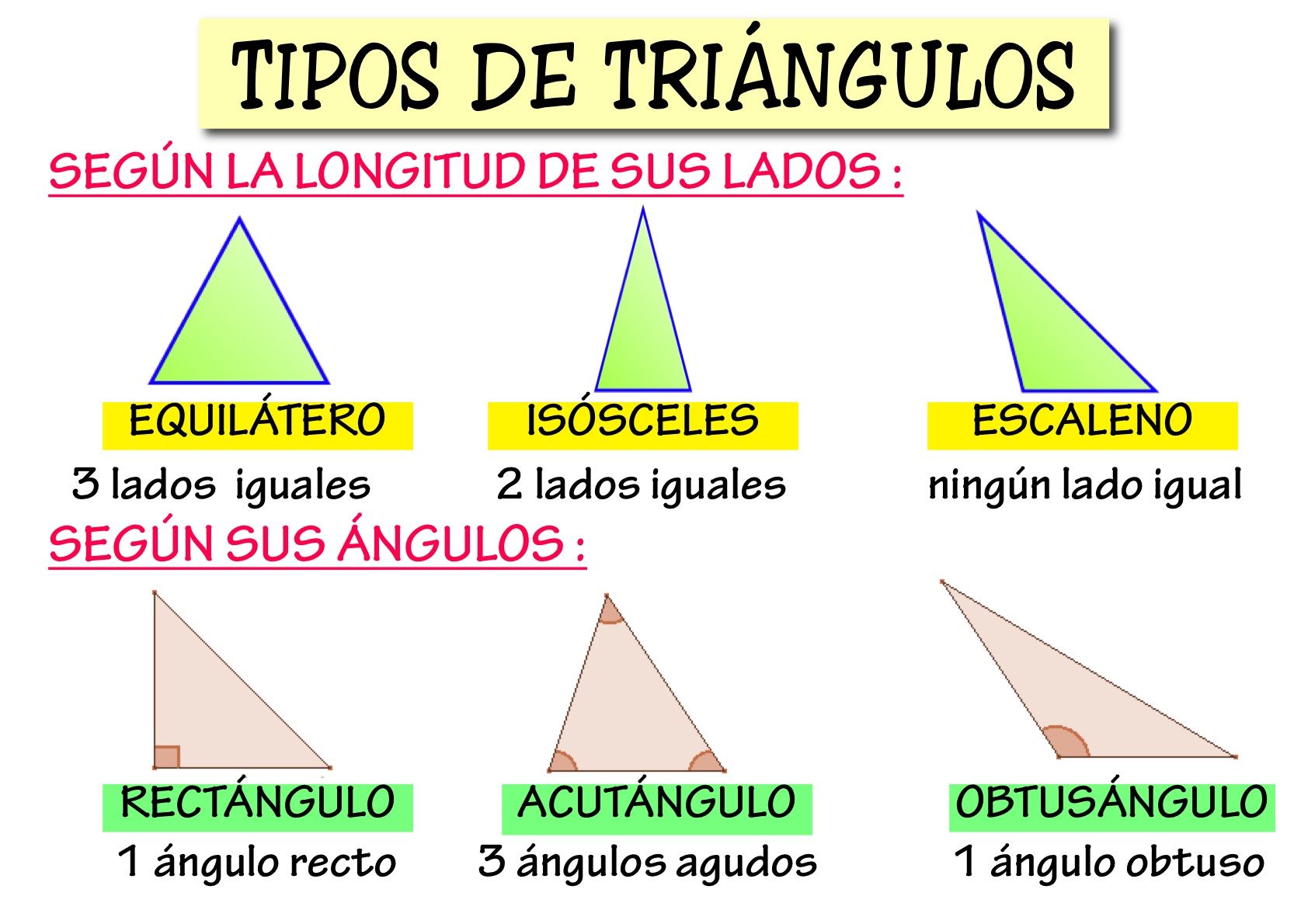 Tipo Tri 4 año