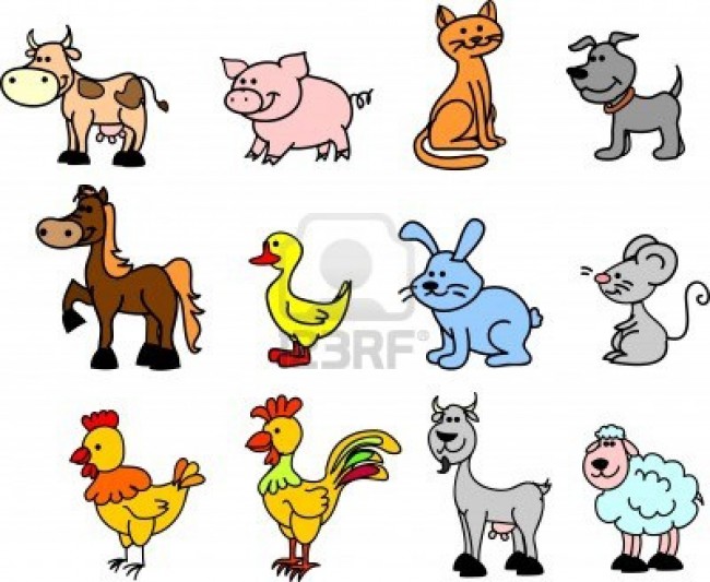 animales domesticos 1