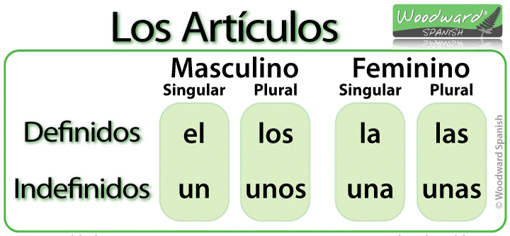 articulos definidos indefinidos