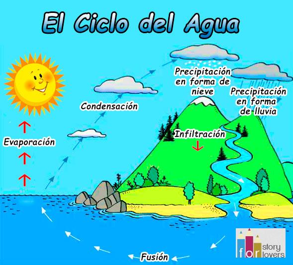 ciclo el agua