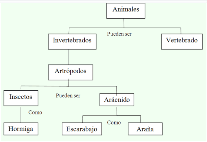 ejem mapa coceptual