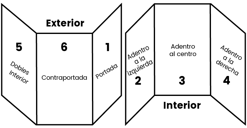 estructura de un triptico 5 año