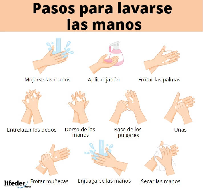 instructivo manos lifeder 1