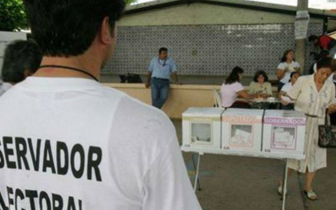 observador electoral