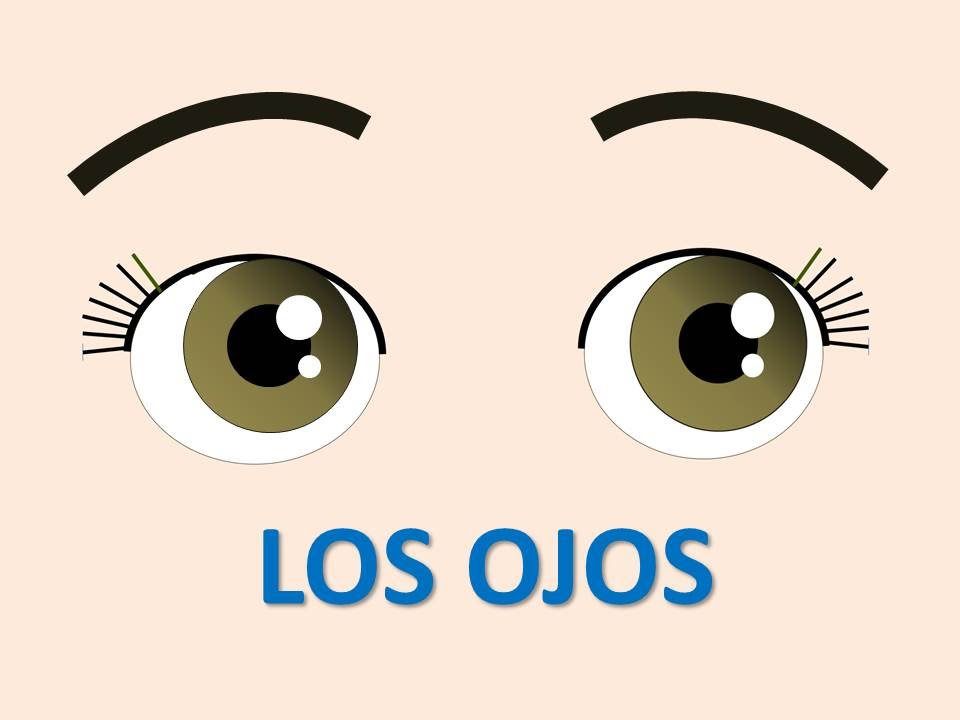 ojos