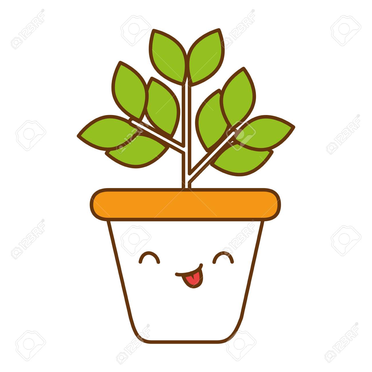 planta