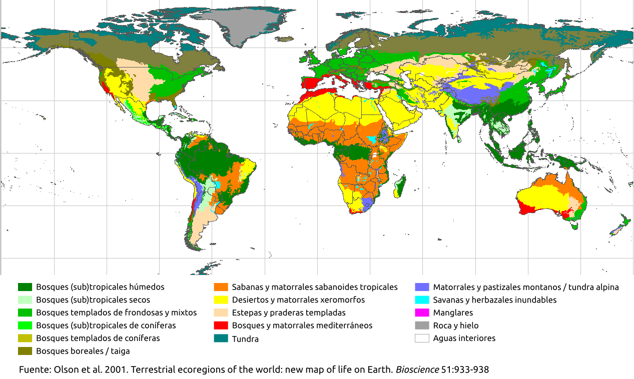 mapamundi con sus biomas 2