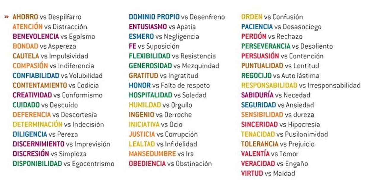 cualidades de proyecto de vida