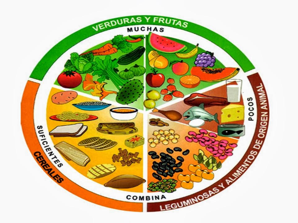 Menús para la dieta del plato