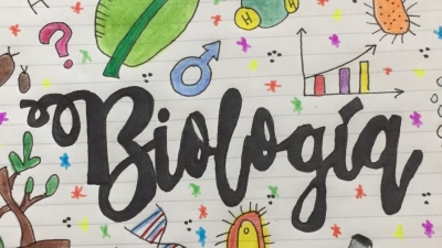 Actividad 2: &iquest;Qu&eacute; es una UMA? Viernes 3 de septiembre 2021