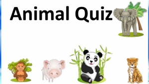 Activity 15. Animal quiz. Thursday 14th. English V
