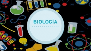 Actividad 17: Valoración de la importancia de las iniciativas en el marco del Programa de las Naciones Unidad para el medio ambiente favor del desarrollo sustentable. Lunes 28 de marzo 2022. Biología 1° A