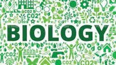 Actividad 10: representaci&oacute;n de la participaci&oacute;n humana en la din&aacute;mica de los ecosistemas. Martes 12 de octubre 2021. Biolog&iacute;a