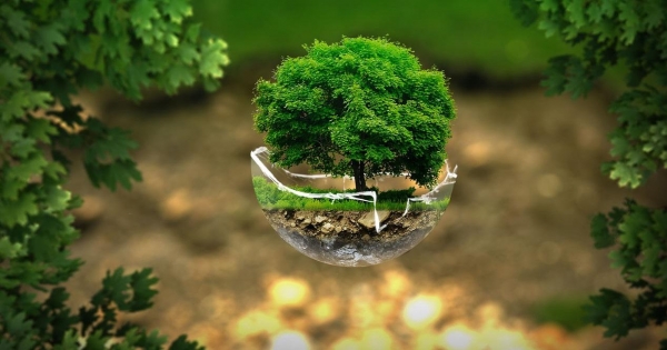 Acuerdos internacionales. Viernes 21 de enero. Geografía 1°B secundaria