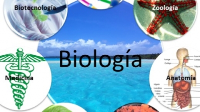 Actividad 15: Valoración de la importancia de los organismos autótrofos y heterótrofos en los ecosistemas y de la fotosíntesis como base de las cadenas tróficas. Lunes 14 de marzo 2022. Biología 1° A