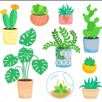 Tarea "Investigo sobre la Naturaleza"  Ciencias Naturales  Martes  7 de Septiembre de 2021