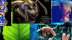 Actividad 22: Implicaciones del descubrimiento del mundo microscópico en la salud y en el conocimiento de la célula. Parte II. Lunes 10 de enero 2022. Biología