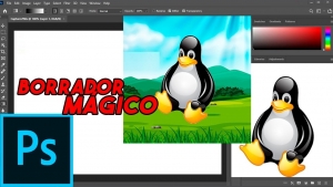 Computación, Viernes 01 de Abril de 2022, Borrador Mágico en Photoshop