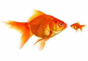 Friday, January 15th: BIG / SMALL. 1° preesc