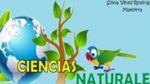 Actividad 12: Ecosistemas, parte III.  Lunes 5 de diciembre  2022. Ciencias Naturales. 5° de primaria