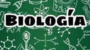 Actividad 8: criterios de evaluación y aprendizajes fundamentales del segundo trimestre. Viernes 21 de enero 2022. Biología. 1°A