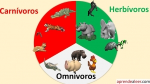 Actividad &quot;Exploración de la naturaleza &quot; Ciencias Naturales Martes 23  de noviembre  de 2021.