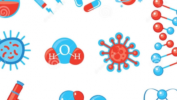 Actividad 20: Examen de laboratorio No. 2: Relación ente la adaptación y la sobrevivencia diferencial de los seres vivos. Jueves 9 de diciembre 2021. Biología