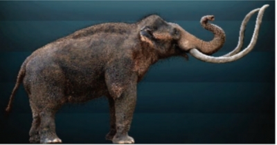 Viernes 07 de enero de 2022 "Los primeros habitantes de mi entidad" 3° Primaria. Estudio de Mi Entidad.