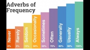 Activity 19: Adverbs of frequency. - November 19th.