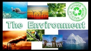 Activity 25: The Environment. - February 9