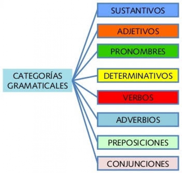 24 DE ENERO 2022 MATERIAL DE ESPAÑOL 2B DE SECUNDARIA “LAS CATEGORÍAS GRAMATICALES”