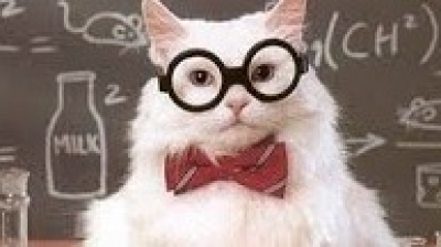 Aviso: Aplicación de examen de Biología, Lunes 28 de septiembre 2020, Ciencias I.