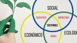 Actividad 34: Desarrollo sustentable. Lunes 22 de marzo 2021. Ciencias I.