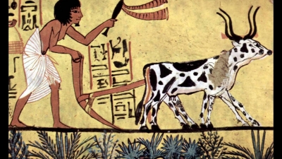 Martes 19 de octubre de 2021 "El paso del nomadismo a los primeros asentamientos agrícolas " 6º  Historia.