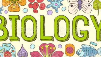 Actividad 40: Proyectos de escenarios ambientales deseables. Lunes 6 de junio 2022. Biolog&iacute;a 1&deg; B