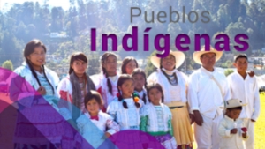 13 DE ENERO 2022 TAREA 8 HISTORIA 2°B SECUNDARIA “POBLACIONES INDÍGENAS DE MÉXICO”