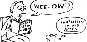 Wednesday, December 2nd: Oral evaluation. 1° preesc