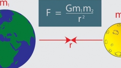 Actividad 25: Leyes de Newton. Parte III. Lunes 25 de enero 2021, Ciencias II.