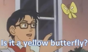 Friday, January 15th: Is it a...? 1° primaria