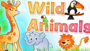 Activity 31. Wild animals. March 11th. English IV