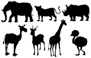 Monday, October 31st. What animal is it? English 2º primaria