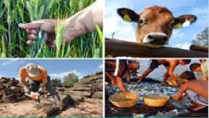 Martes 17 de mayo de 2022    &quot;Actividades económicas del sector primario&quot; Geografía 5° Primaria.