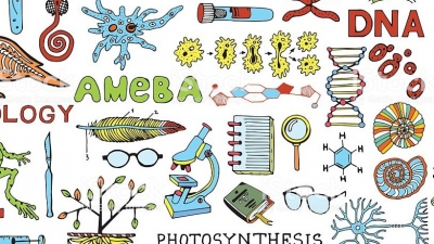 Actividad 38: Biodiversidad como resultado de la evoluci&oacute;n: relaci&oacute;n ambiente, cambio y adaptaci&oacute;n. Lunes&nbsp;23 de MAYO 2022. Biolog&iacute;a 1&deg; B