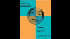 Aprendizajes fundamentales imprescindibles (repaso), martes 14 diciembre, Lenguaje y comunicación 5° primaria