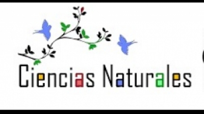 Martes 09 de noviembre de 2021 " Aprendizajes esperados" 6° Ciencias Naturales.